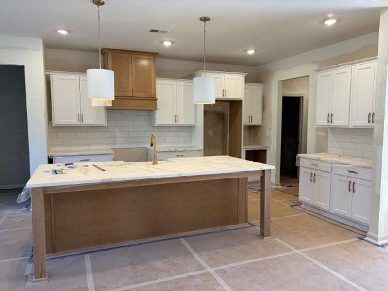 Furnished interior view inside a new home in Blackwelder Bluff, Bowdon (Image 5).