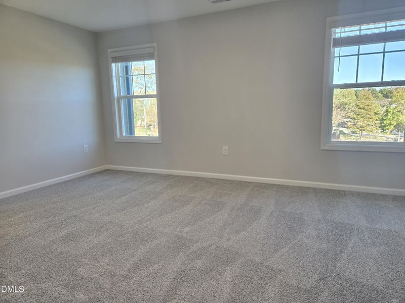 1000016453 1000016453