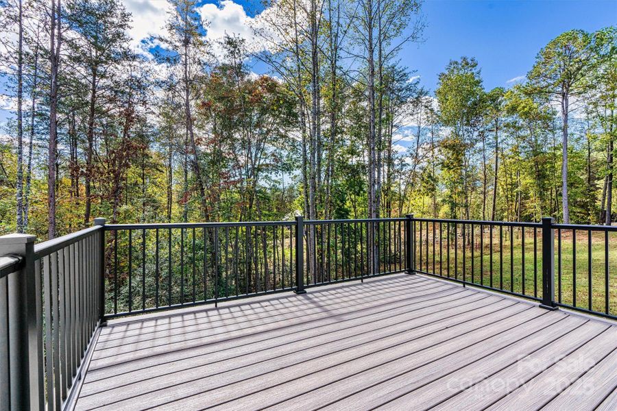 Composite Deck/Side Yard View Composite Deck/Side Yard View