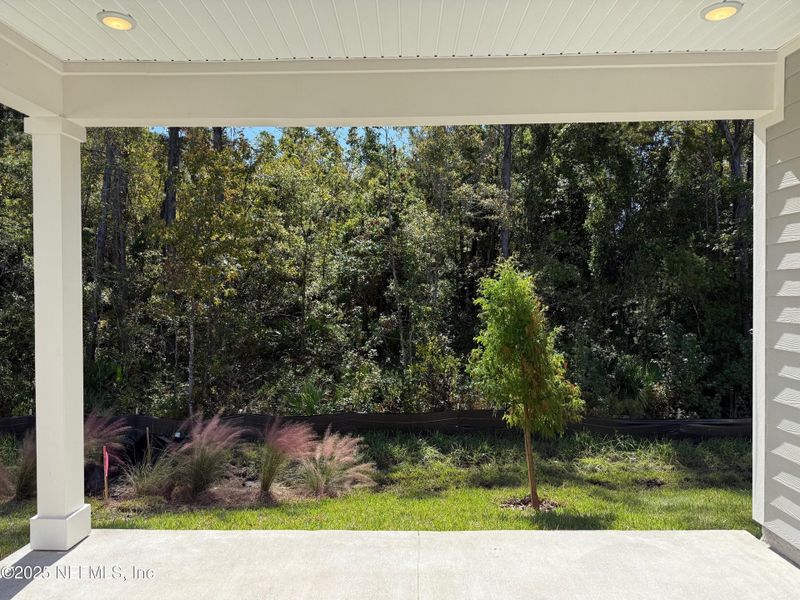Exterior details and patio area of a home in The Preserve at Concourse Crossing, Fernandina Beach (Image 3).