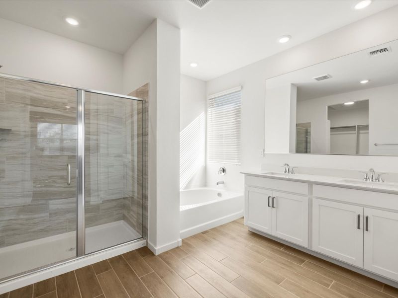 Furnished interior view inside a new home in White Tank Foothills Signature Series, Waddell (Image 3).