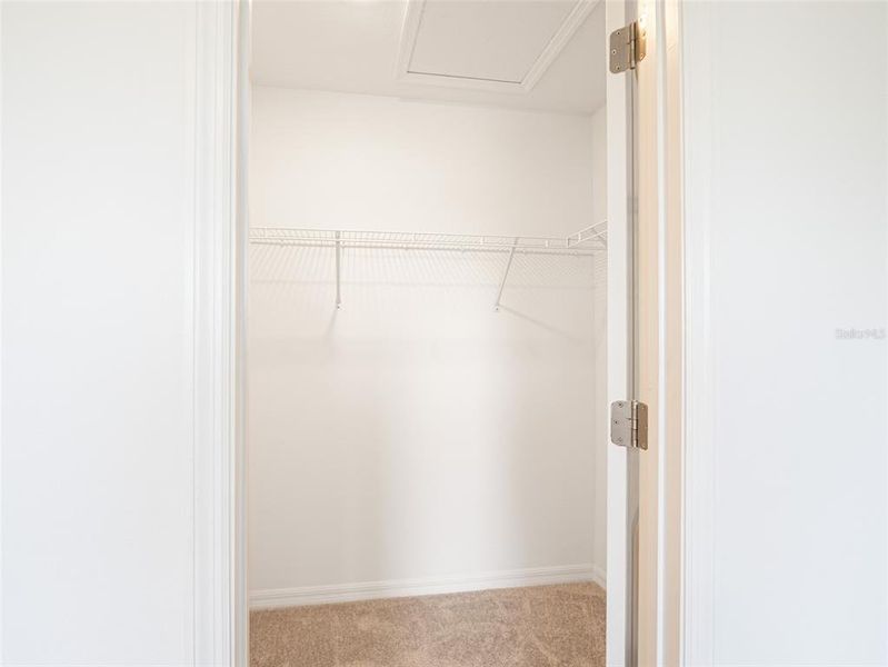 Spacious, unfurnished interior of a new home in , St. Cloud (Image 23).