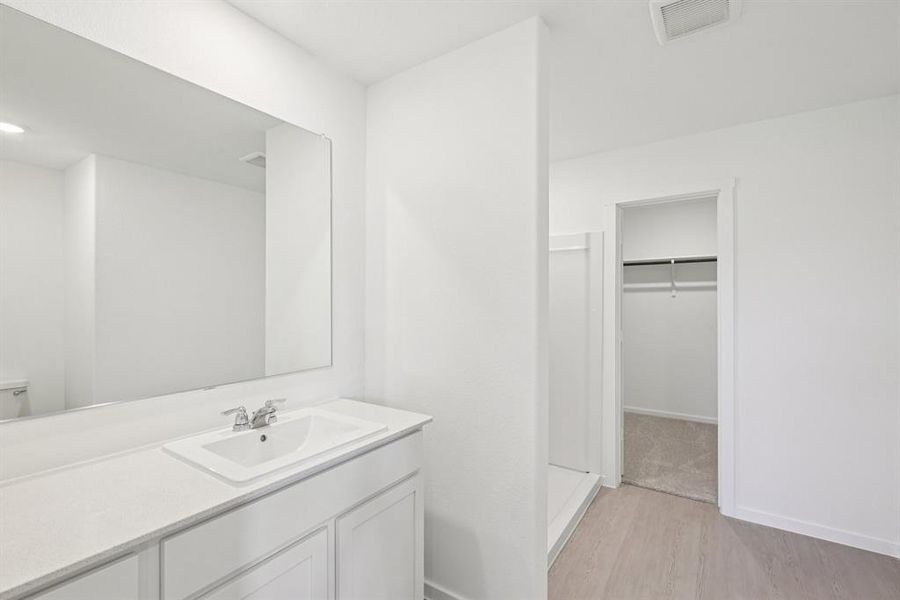 Bathroom featuring wood finished floors, vanity, and a spacious closet Bathroom featuring wood finished floors, vanity, and a spacious closet