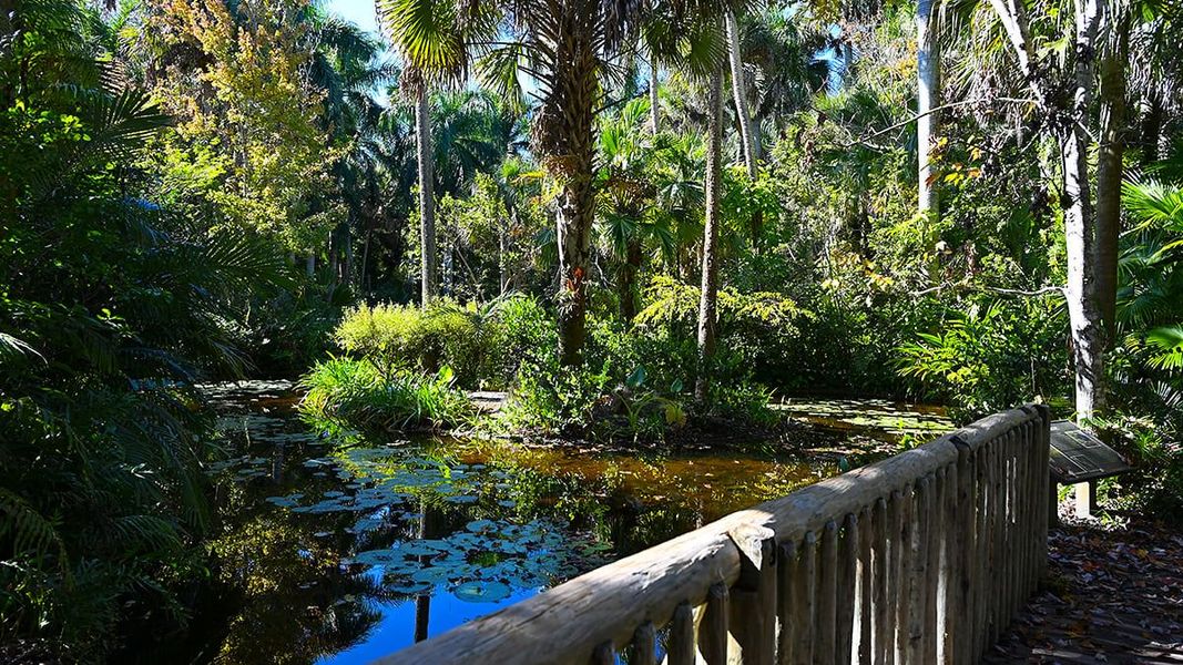 Natural landscape and outdoor views near Veranda Oaks in Port St. Lucie (Image 72).