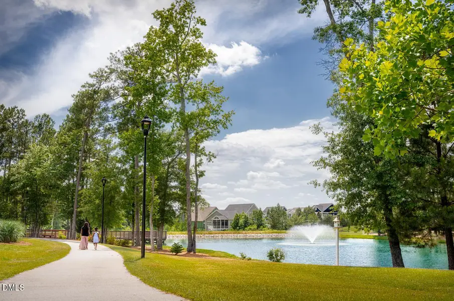 walking pond walking pond