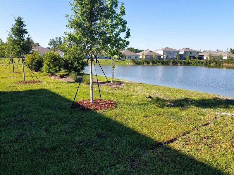 Natural landscape and outdoor views near Charles Cove Express in Davenport (Image 28).