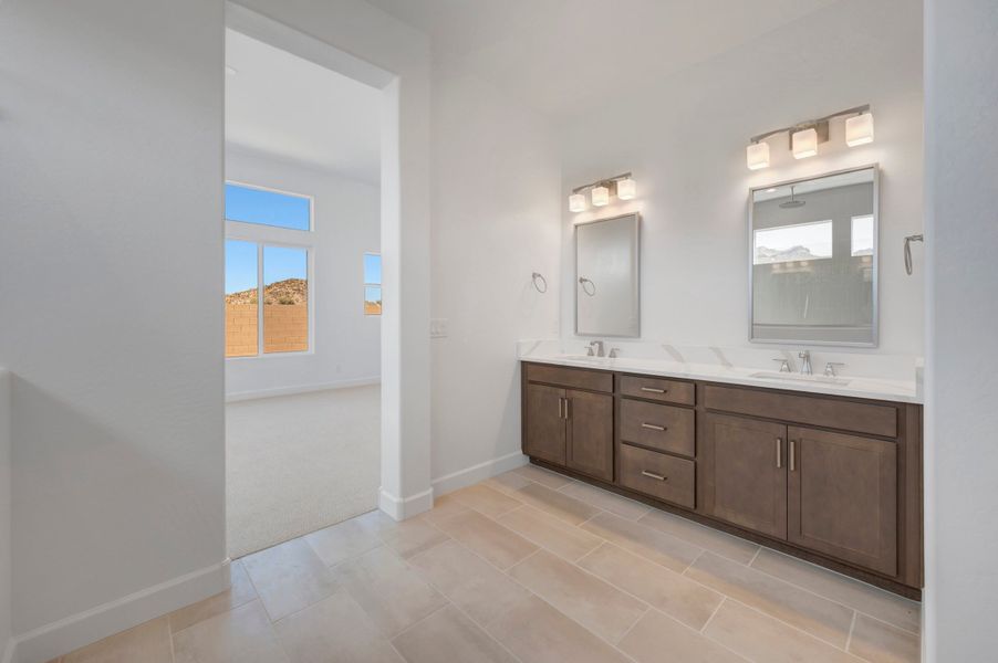 Owner's Bath