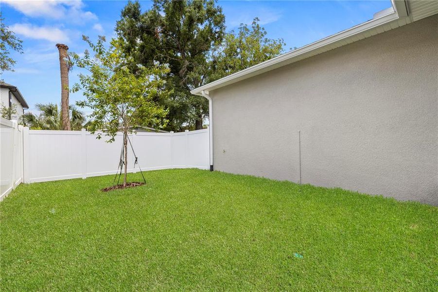 Exterior details and patio area of a home in , Tampa (Image 19). Exterior details and patio area of a home in , Tampa (Image 19).