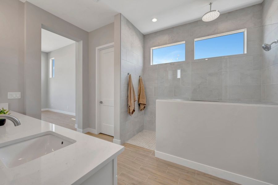 Owner's Bath