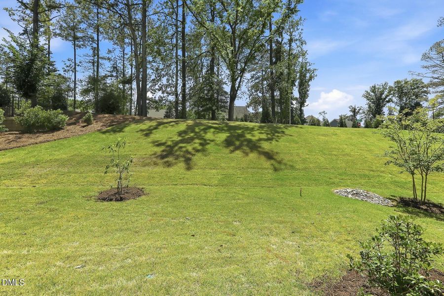 052-014-Back Yard-1500x1000