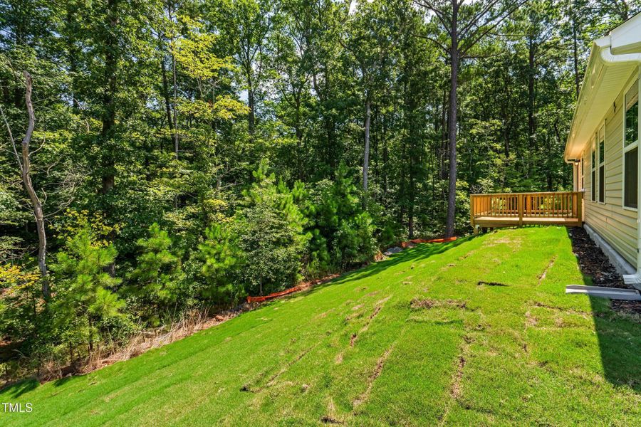 28_dsc08975 28_dsc08975