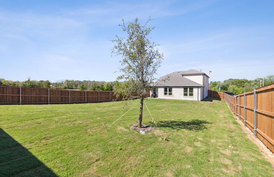 Spacious, fenced-in backyard