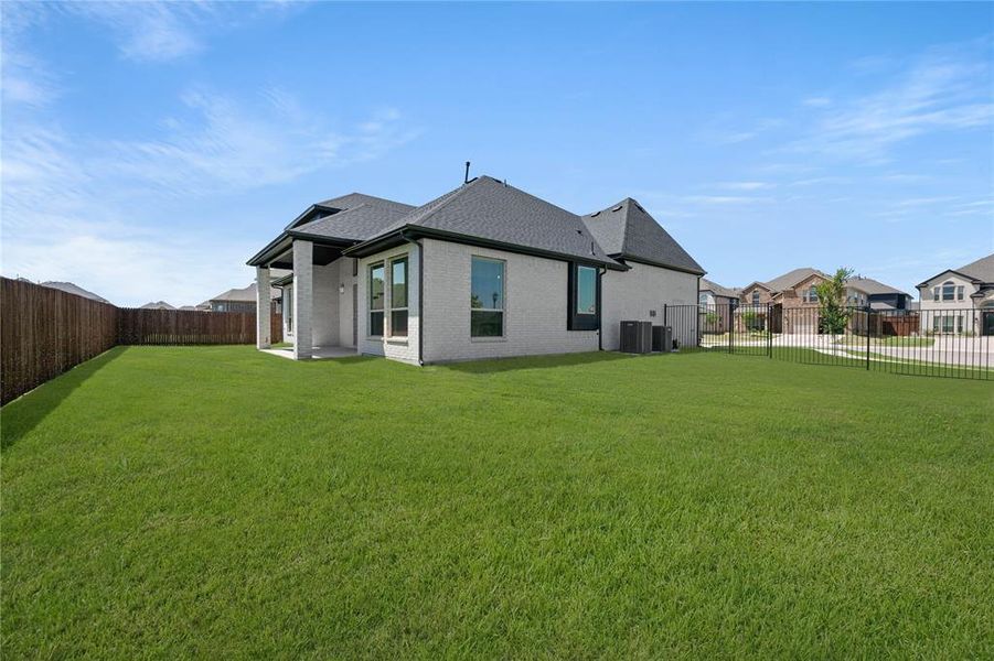 2105 Birdwatch- Back-1 2105 Birdwatch- Back-1