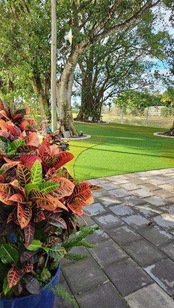 Natural landscape and outdoor views near  in Homestead (Image 40).