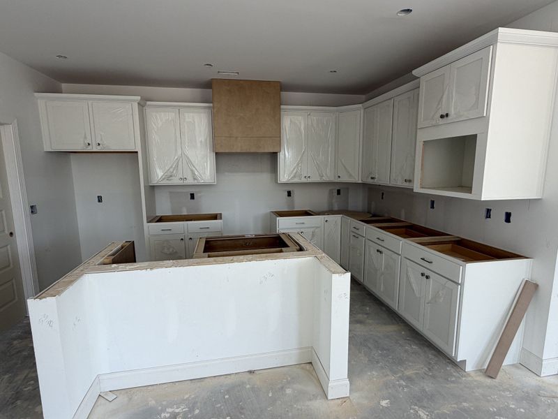 In-progress construction of a new home in Timberlee, Ooltewah, TN (Image 15). In-progress construction of a new home in Timberlee, Ooltewah, TN (Image 15).