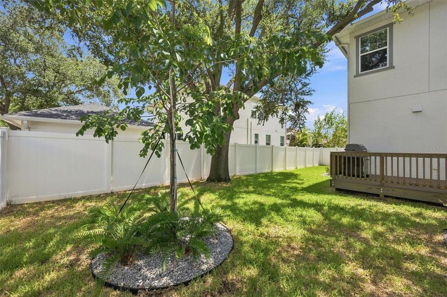 Exterior details and patio area of a home in , Tampa (Image 34). Exterior details and patio area of a home in , Tampa (Image 34).