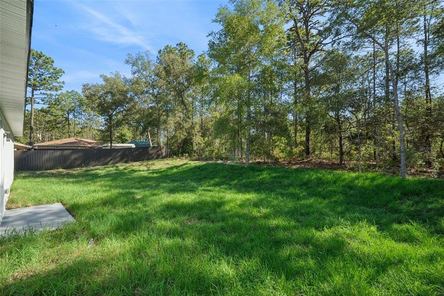 Natural landscape and outdoor views near in Citrus Springs (Image 26). Natural landscape and outdoor views near in Citrus Springs (Image 26).