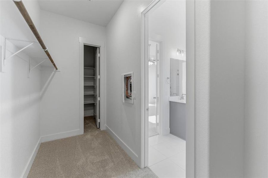 Walk in closet with light colored carpet
