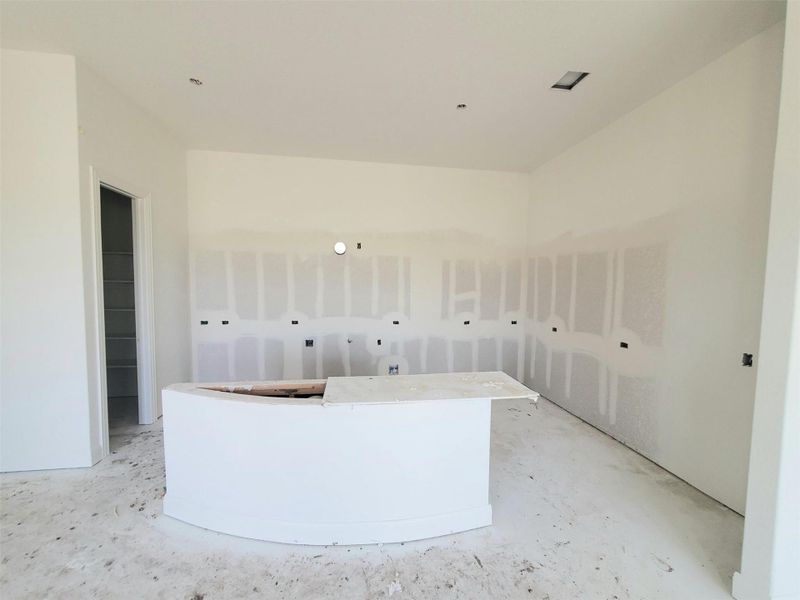 In-progress construction of a new home in Flora, Hutto, TX (Image 21). In-progress construction of a new home in Flora, Hutto, TX (Image 21).