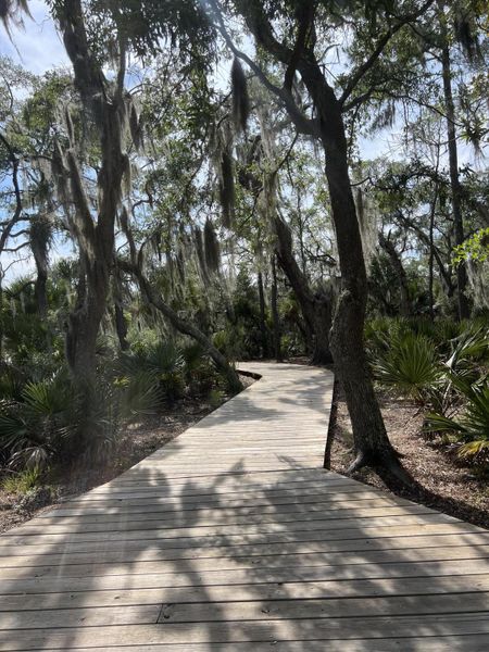 Natural landscape and outdoor views near in Seabrook (Image 89). Natural landscape and outdoor views near in Seabrook (Image 89).