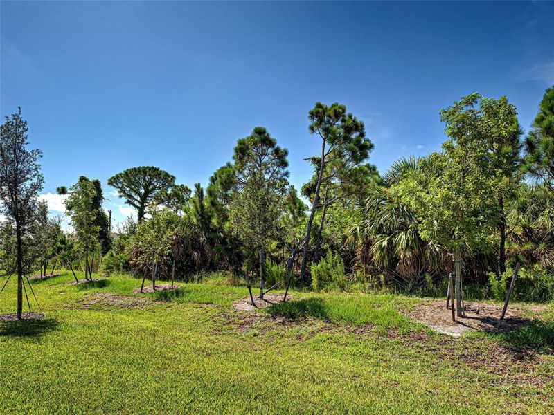 Image 41 of a home in .