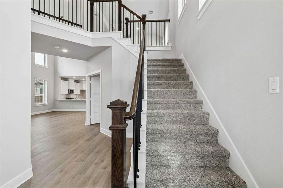 2101 Hazel Lily 2101 Hazel Lily