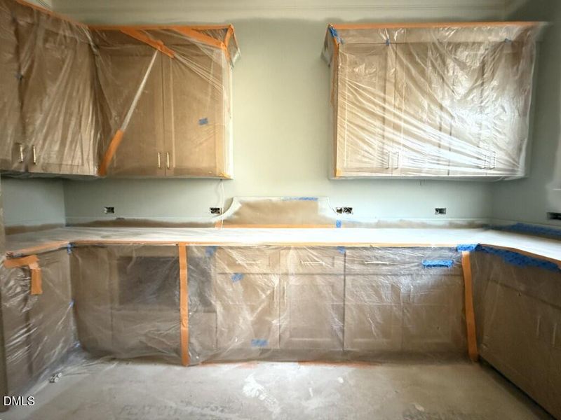 IMG_1365 2 (Medium) IMG_1365 2 (Medium)