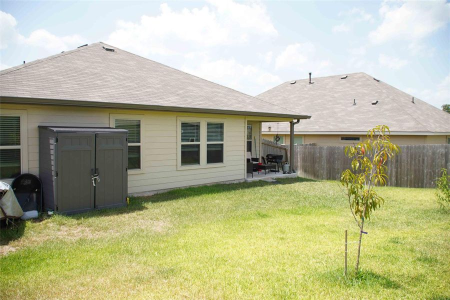 Back view, large yard and new shed Back view, large yard and new shed