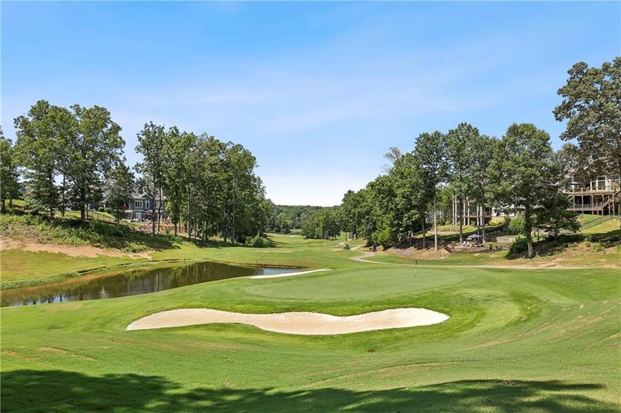 Natural landscape and outdoor views near  in Dawsonville (Image 55).