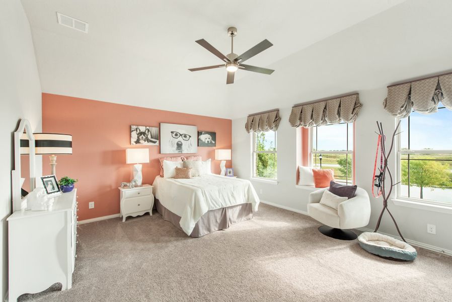 Bedroom with coral accent wall, ceiling fan, carpet, and two windows with natural light