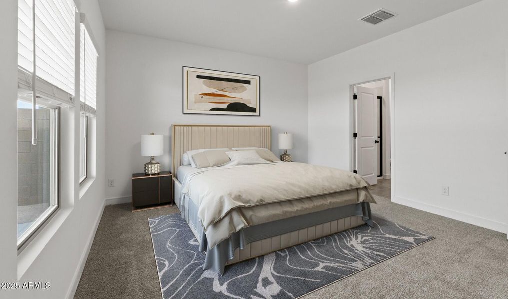 LS Lot #77 Primary Suite (Large)