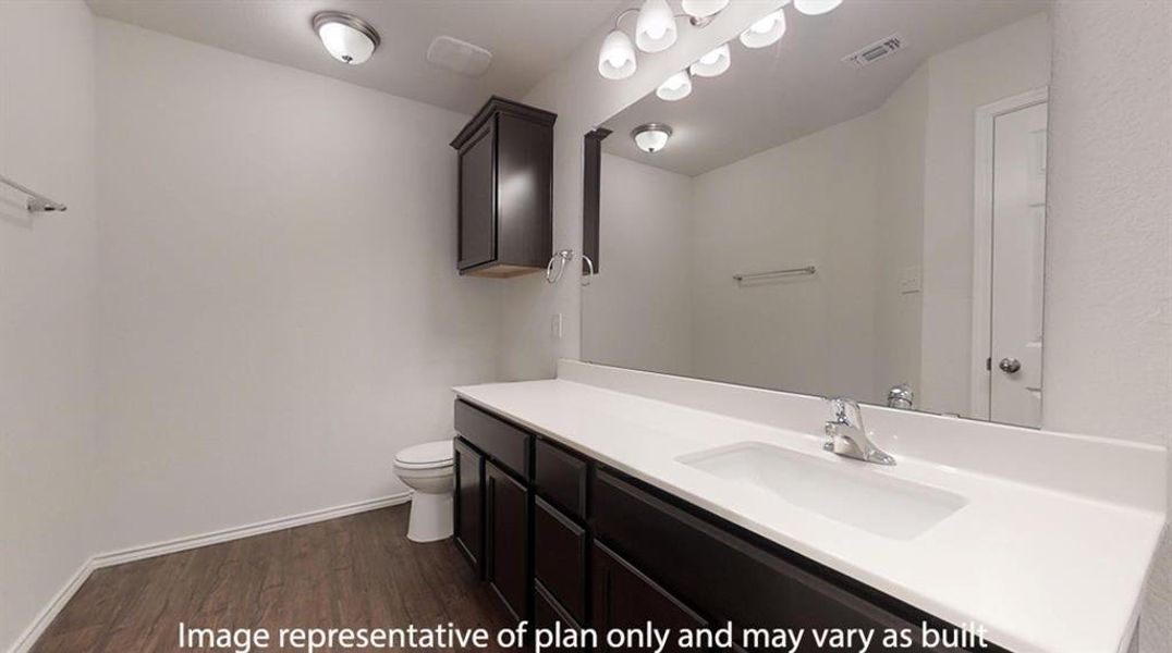 Bathroom with dark wood-type flooring and vanity Bathroom with dark wood-type flooring and vanity
