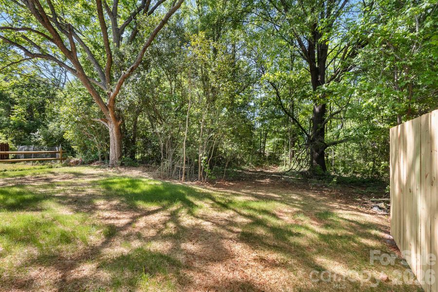 Natural landscape and outdoor views near  in York (Image 37).