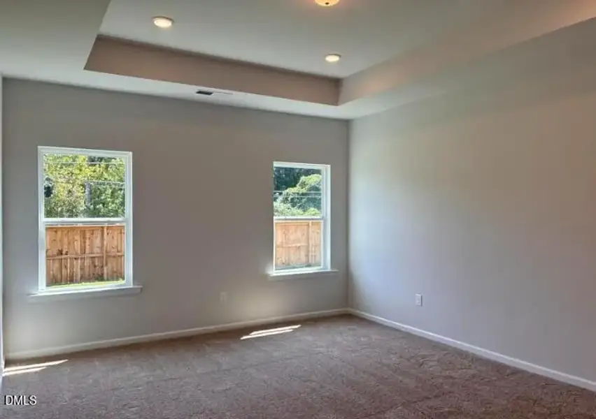 Tray Ceiling