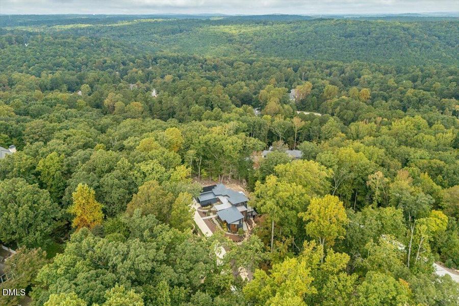 099-23930 Cherry-Drone 10