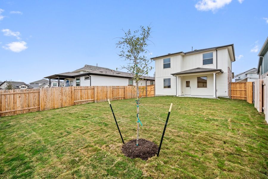 031_dsc01201_1_1_164 031_dsc01201_1_1_164