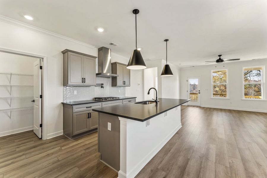 Furnished interior view inside a new home in Lakeside Saluda, Greenville (Image 7).