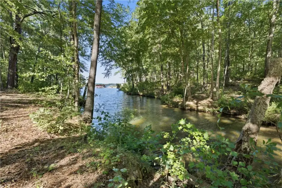 Mature trees line the gentle shoreline of this ser