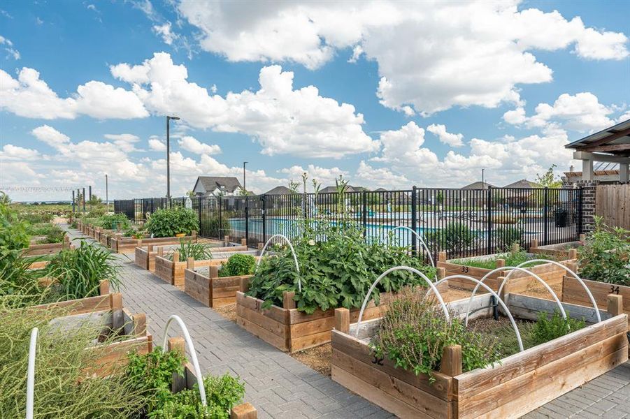 Community amenities in , Celina (Image 30).