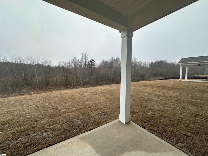 Exterior details and patio area of a home in Shiloh Trail, Wellford (Image 4).