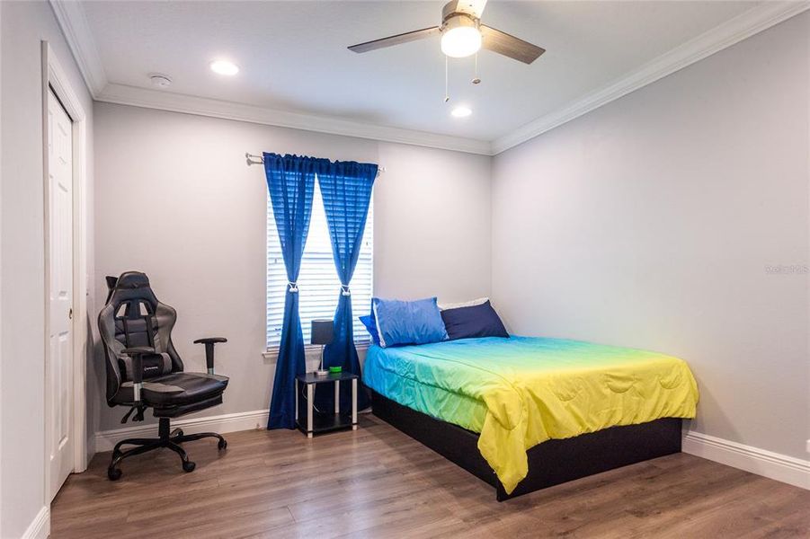Furnished interior view inside a new home in , Williston (Image 13).