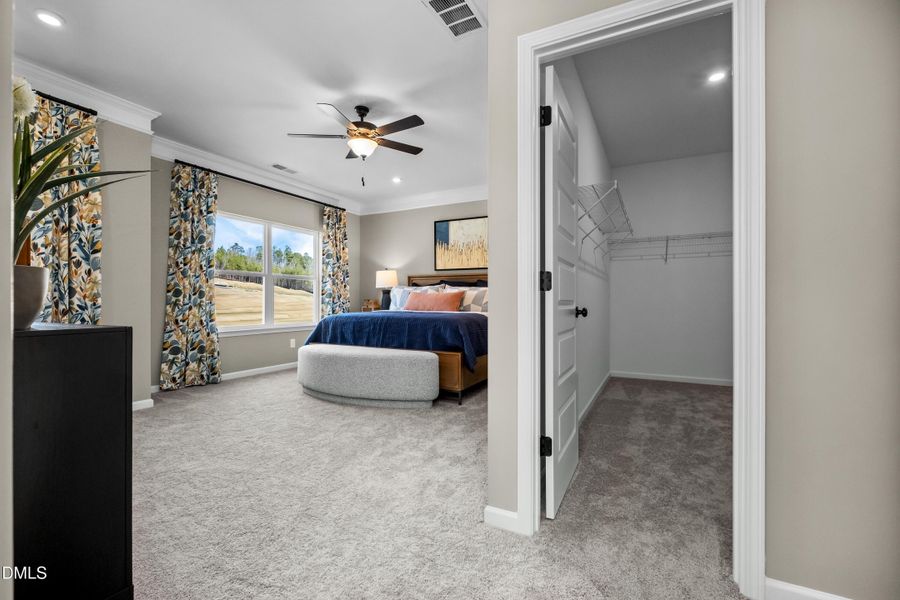 Representational Photo