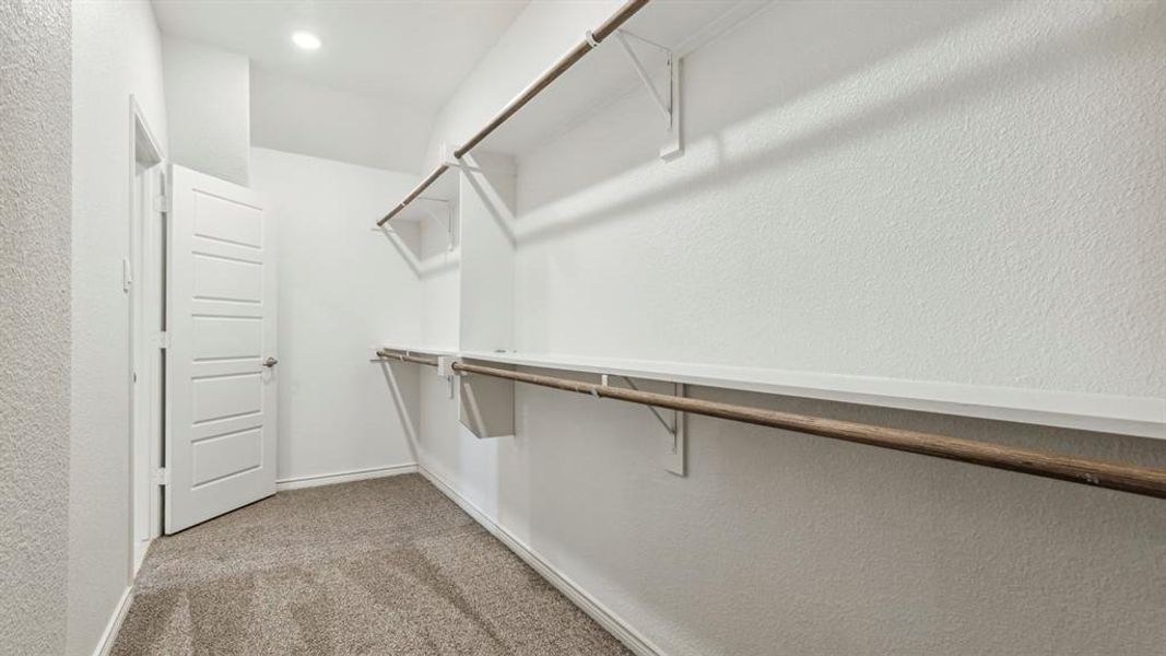 Walk-in closet featuring carpeted flooring, white walls, and built-in shelving with hanging rods