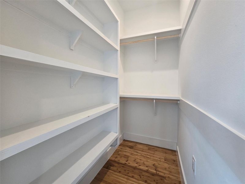 Spacious closet featuring dark wood-style floors
