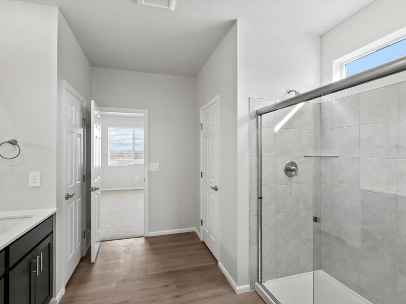 Furnished interior view inside a new home in Poudre Heights: The Alpine Collection, Windsor (Image 10).