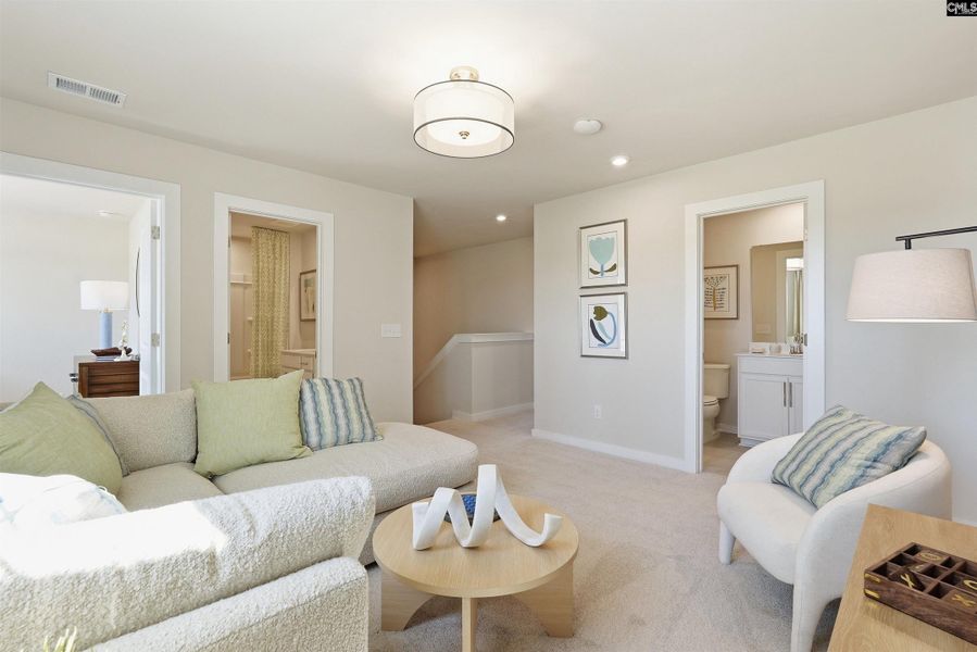 Furnished interior view inside a new home in Boykin Hills, Chapin (Image 21).