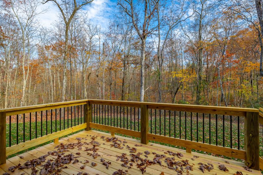 Representative exterior details of a home built from the Carolina B by Riverstone Construction, LLC in Pine Ridge, Soddy-Daisy (Image 2).