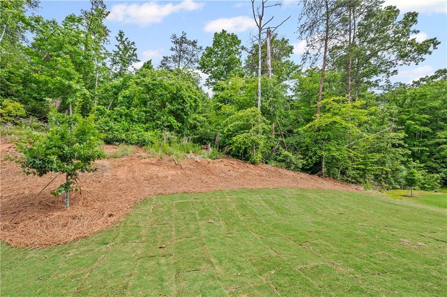 Image 13 of a home in Avery Ridge.