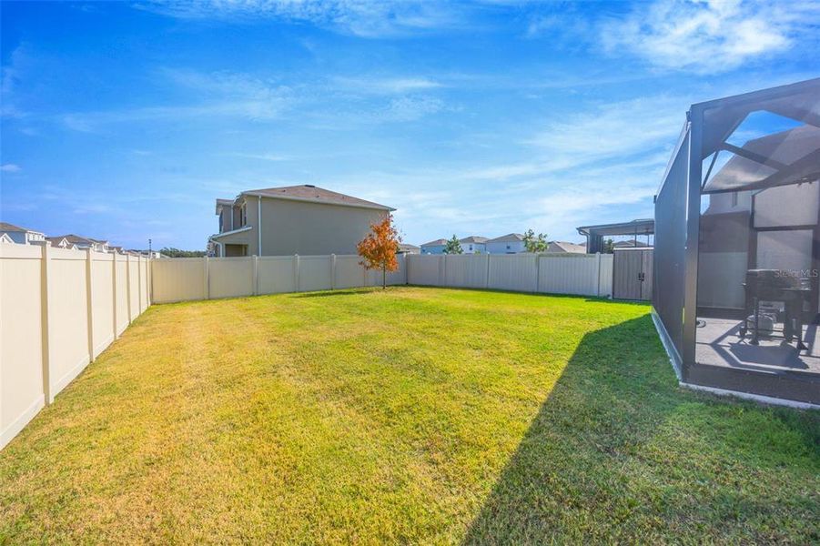Exterior details and patio area of a home in Summerstone, Wesley Chapel (Image 21). Exterior details and patio area of a home in Summerstone, Wesley Chapel (Image 21).