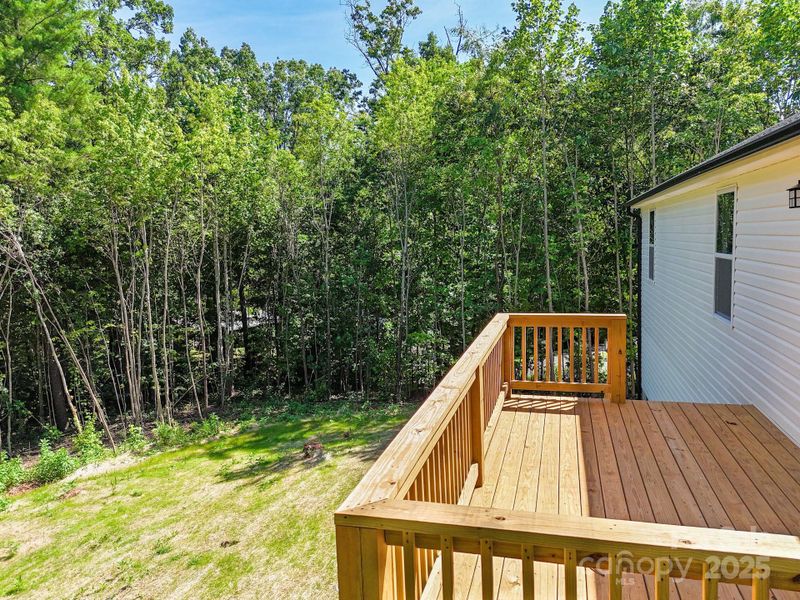 Front exterior of a new home in , Candler, NC, highlighting curb appeal (Image 25). Front exterior of a new home in , Candler, NC, highlighting curb appeal (Image 25).